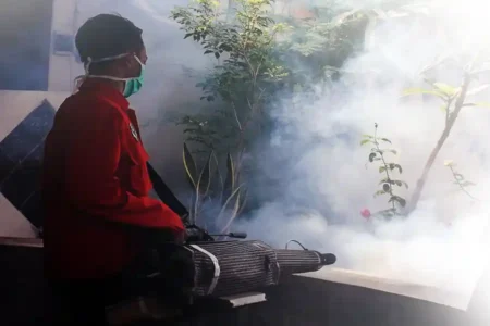 Dinkes Probolinggo dan Warga Lakukan Langkah Intensif Lawan Demam Berdarah dengan Fogging Ilustrasi fogging, sebuah upaya untuk menghentikan laju demam berdarah (foto: Hendro D. Laksono)