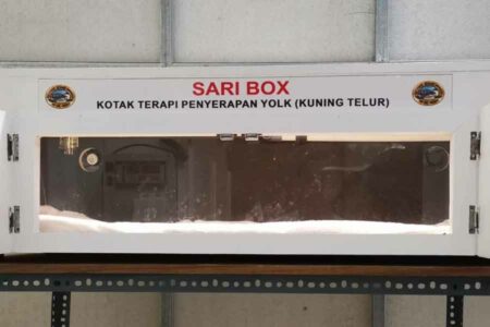 FIKKIA Unair Gandeng Banyuwangi Sea Turtle Foundation Ciptakan Alat SARI BOX untuk Penyu SARI BOX, inovasi untuk mempercepat proses absorpsi kuning telur dari luar ke dalam abdomen tukik.