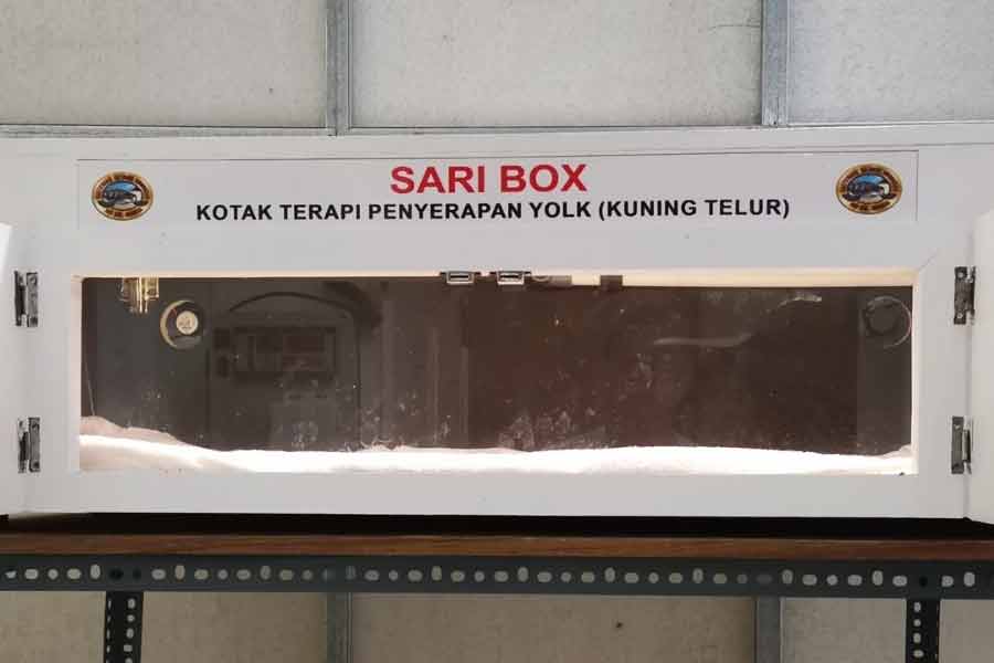 FIKKIA Unair Gandeng Banyuwangi Sea Turtle Foundation Ciptakan Alat SARI BOX untuk Penyu SARI BOX, inovasi untuk mempercepat proses absorpsi kuning telur dari luar ke dalam abdomen tukik.