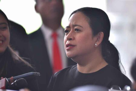 Ketua DPR RI Puan Maharani (foto: Dok DPR RI)