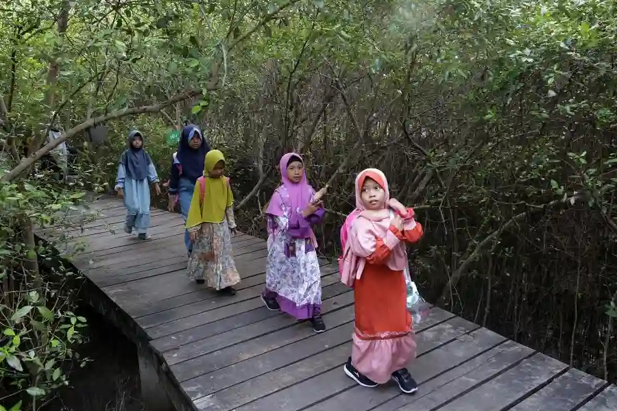 Surabaya Rayakan HUT Kebun Raya Mangrove dan Hari Anak Nasional lewat Beragam Acara Peringatan HUT ke-1 Kebun Raya Mangrove digelar sekaligus memperingati Hari Anak Nasional 2024.