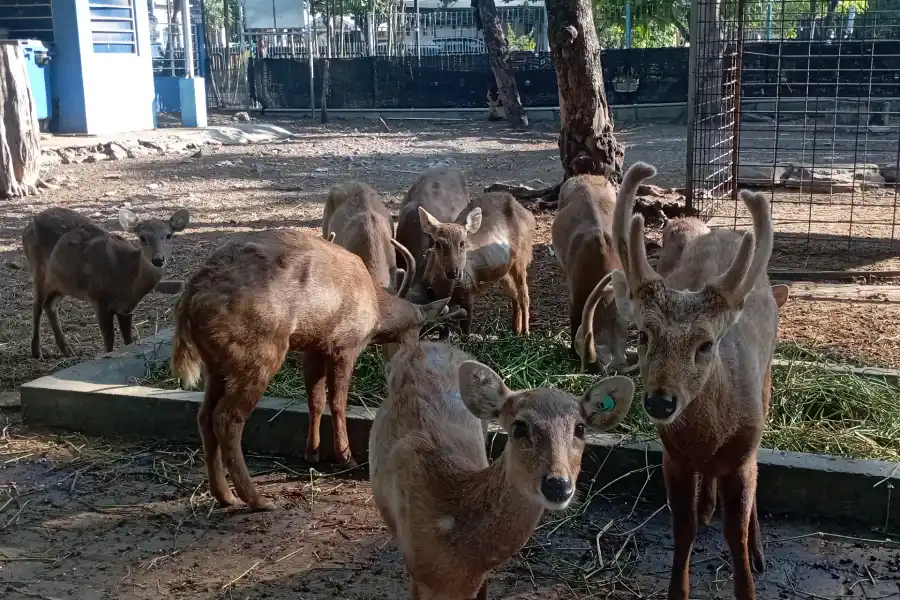 foto beritajatim