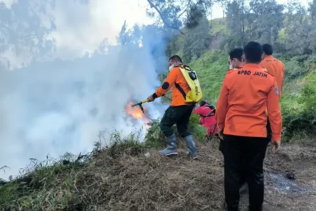Awak BPBD Jatim saat berusaha memadamkan kebakaran hutan yang terjadi di penanjakan Gunung Bromo.