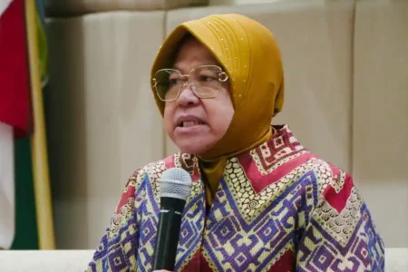 Data LHKPN: Selama Jadi Menteri Sosial, Harta Kekayaan Risma Naik Hampir Dua Kali Lipat Tri Rismaharini, Menteri Sosial RI