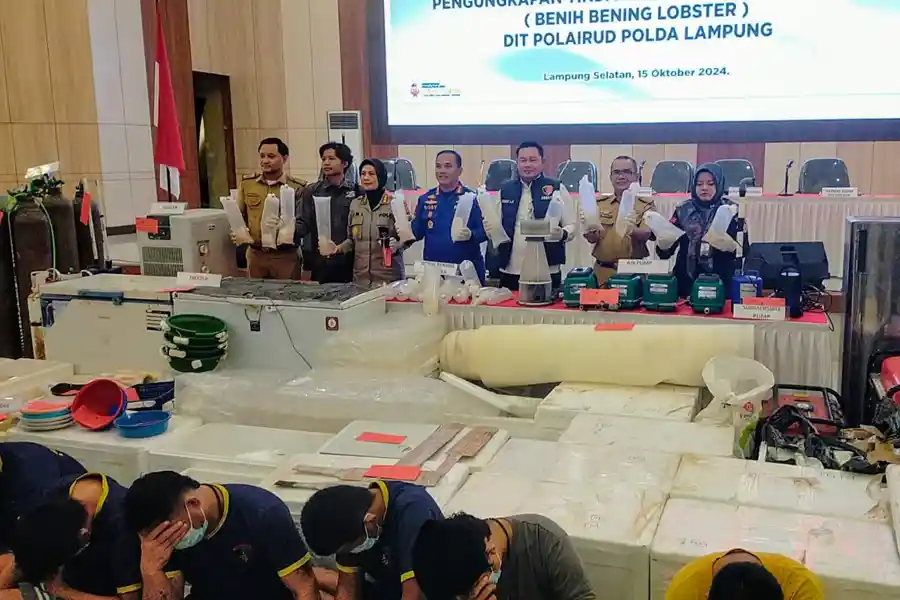 KKP Beri Apresiasi atas Keberhasilan Polda Lampung Ungkap Penyelundupan Baby Lobster