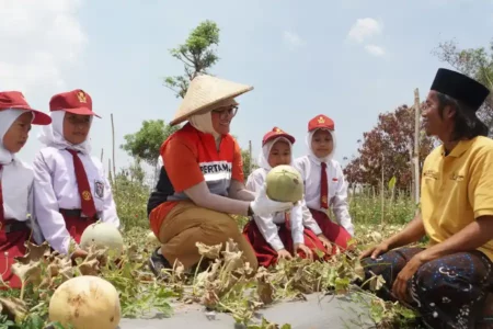 PHE WMO Terapkan Pertanian Hortikultura untuk Rehabilitasi Lahan Kritis di Pesisir Bangkalan Pengelolaan dilakukan bersama Kelompok Tani Bumi Sentosa Sejahtera dengan memanfaatkan area demplot pertanian atau kebun percontohan.