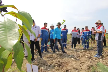 PEPC, IDFoS, dan Perhutani Kolaborasi Konservasi Hutan di Bojonegoro