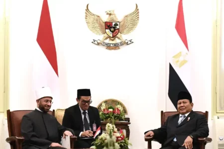 Presiden Prabowo saat menerima utusan khusus dari Mesir dan Persatuan Emirat Arab (PEA), di Istana Merdeka, Jakarta (foto: Dok BPMI Setpres)