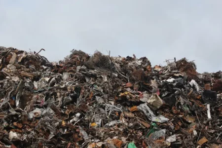 Ilustrasi tempat pembuangan sampah (foto: Emmet/pexels)