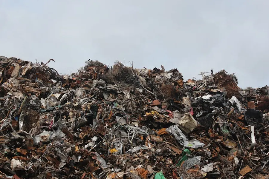 Dorong Transformasi Pola Pikir, Ditjen PSLB3 Fokus pada Pengelolaan Sampah Berkelanjutan Ilustrasi tempat pembuangan sampah (foto: Emmet/pexels)
