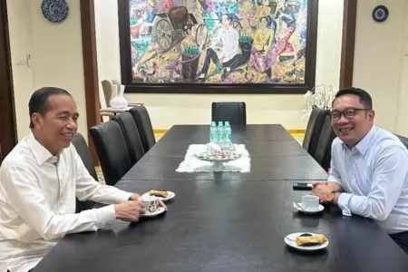 Jokowi saat menerima kunjungan Ridwan Kamil awal November 2024 lalu (foto: facebook @jokowi)