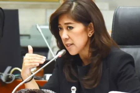 Menkomdigi Meutya Hafid (foto: Dok DPR RI)