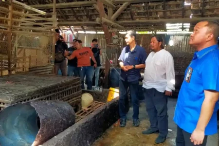 PD Pasar Surya Pastikan Pedagang Unggas Bisa Kembali ke Pasar Keputran Selatan Pasca Revitalisasi Pasar Unggas