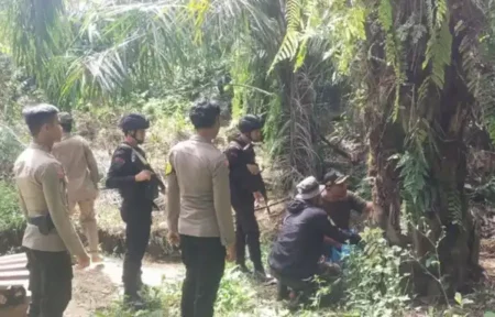 Polres Pesisir Barat bersama tim Polhut Taman Nasional Bukit Barisan Selatan (TNBBS) sedang memantau pergerakan harimau.