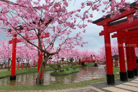 Sakura Park di Dairyland Prigen (foto: Haris Dwi/beritajatim.com)
