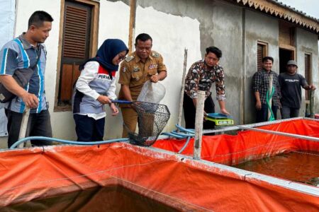 Pertamina EP Sukowati Field Gelar Panen Raya, Dorong Kemandirian Peternak Lele di Bojonegoro Berdayakan Kelompok Ternak Ikan Lele, Pertamina EP Sukowati Field Gelar Panen Raya