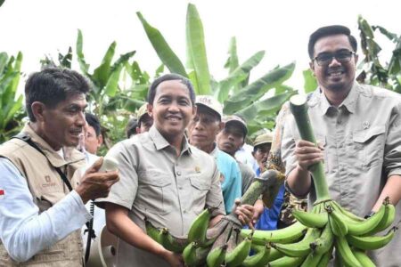 (foto: Dok Kementerian Kehutanan RI)