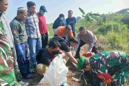 Petani asal Bojonegoro tewas tersengat jebakan tikus listrik di sawah Gresik. Polisi imbau hentikan praktik berbahaya ini demi keselamatan.