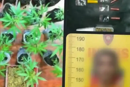 Polres Malang tangkap pria pengedar sabu dan penanam ganja. Barang bukti 16 paket sabu dan 38 batang ganja siap panen disita dari tersangka.