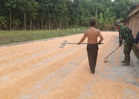 TNI dan petani