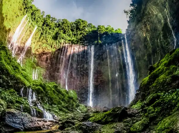5 Air Terjun Tersembunyi di Lumajang yang Wajib Dikunjungi