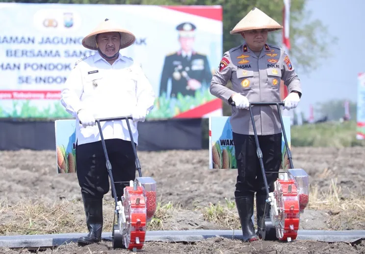 Dari Kota Santri Jombang Kirim Pesan Jihad Modern Lewat Penanaman Jagung foto beritajatim.id