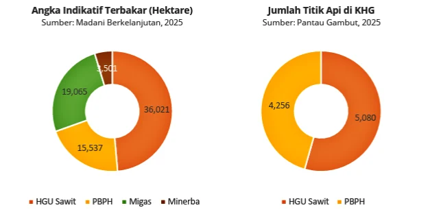 Karhutla 2025 Melonjak, Aktivis Nilai Pemerintah dan Korporasi Lepas Tanggung Jawab