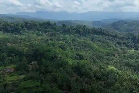 Hutan Adat Leuweung Gede di Kampung Kuta, Kecamatan Tambaksari, Kabupaten Ciamis, Jawa Barat