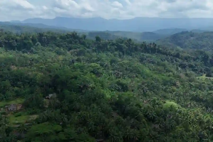 Menhut Raja Juli Antoni Kunjungi Hutan Adat Leuweung Gede, Tegaskan Komitmen Perlindungan Masyarakat Adat Hutan Adat Leuweung Gede di Kampung Kuta, Kecamatan Tambaksari, Kabupaten Ciamis, Jawa Barat