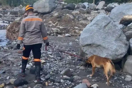 Polri Kerahkan Tim K9 untuk Pencarian Korban Bencana Alam di NTT Tim K9 Mabes Polri dikerahkan ke Nagakeo, NTT, untuk membantu pencarian korban bencana alam. Operasi ini wujud kepedulian Polri dalam misi kemanusiaan.