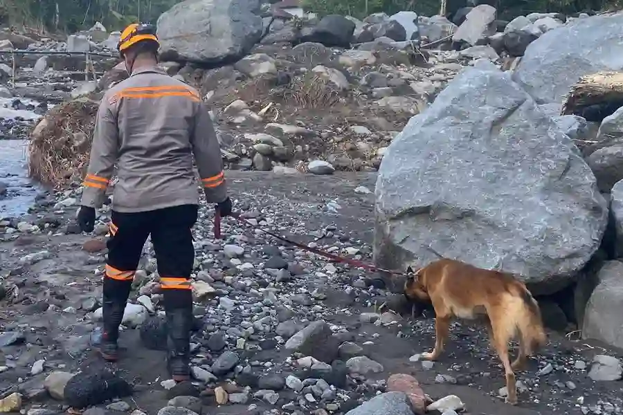 Polri Kerahkan Tim K9 untuk Pencarian Korban Bencana Alam di NTT Tim K9 Mabes Polri dikerahkan ke Nagakeo, NTT, untuk membantu pencarian korban bencana alam. Operasi ini wujud kepedulian Polri dalam misi kemanusiaan.