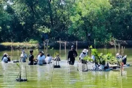 Pemkot Surabaya dan WVI tanam 1.000 bibit mangrove di Wonorejo, ajak 115 relawan jaga lingkungan dan edukasi anak tentang pentingnya ekosistem pesisir.