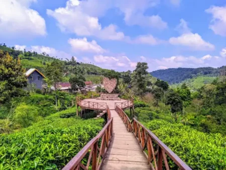 7 Wisata Alam Blitar yang Wajib Dikunjungi, dari Hutan Sejuk hingga Pantai Eksotis