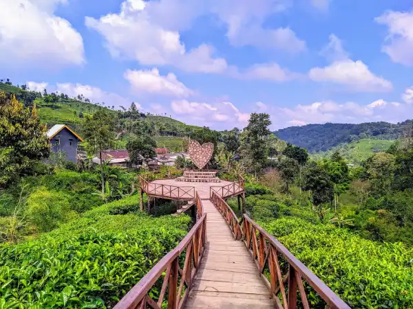 7 Wisata Alam Blitar yang Wajib Dikunjungi, dari Hutan Sejuk hingga Pantai Eksotis